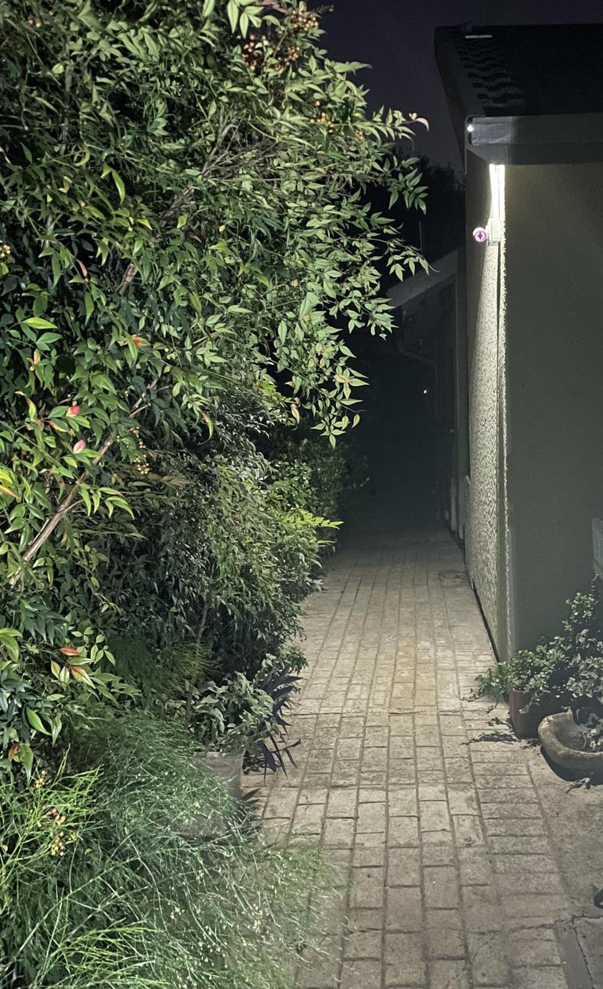 Celtis Lane Guest House Boksburg Zewnętrze zdjęcie