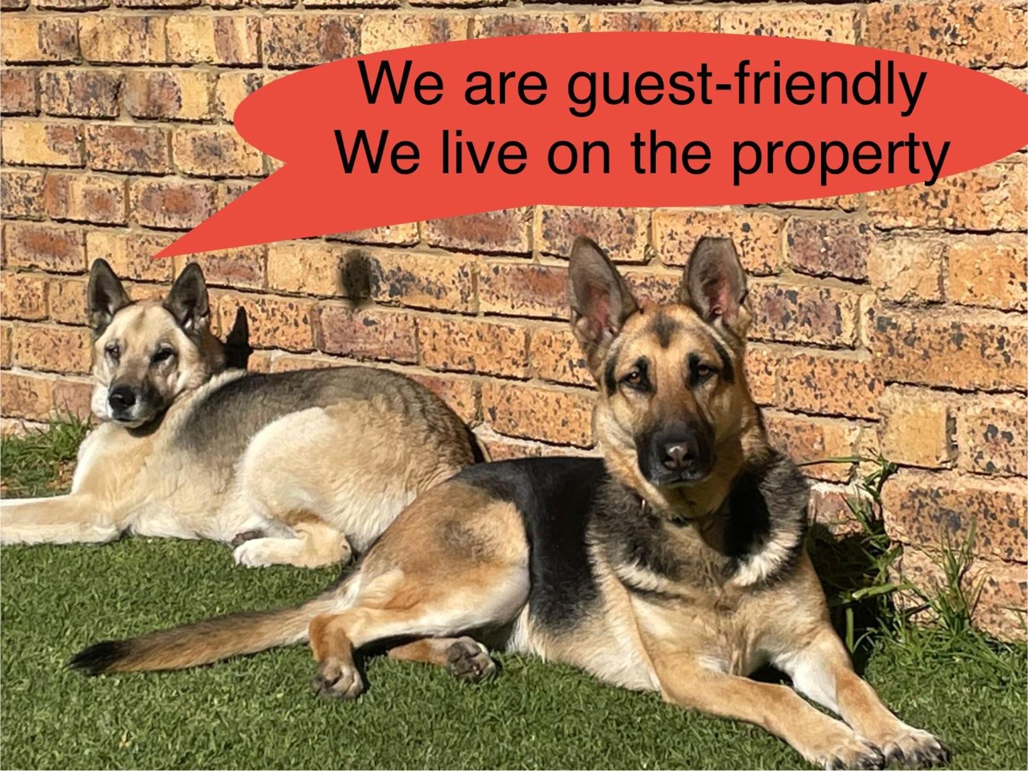 Celtis Lane Guest House Boksburg Zewnętrze zdjęcie